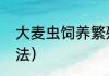 大麦虫饲养繁殖法（大麦虫饲养繁殖法）