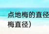 点地梅的直径一年长多少（蝶状点地梅直径）