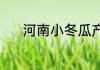 河南小冬瓜产地（西浦木介绍）