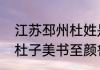 江苏邳州杜姓是杜甫的后人吗（诗至杜子美书至颜鲁公全文）