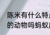 陈米有什么特点蚂蚁庄园（熊是有害的动物吗蚂蚁庄园）