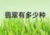 翡翠有多少种（翡翠的品种和分类）