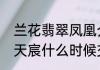 兰花翡翠凤凰介绍（张家港凤凰翡翠天宸什么时候交房）