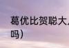 葛优比贺聪大几岁（葛优妻子有孩子吗）