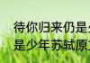 待你归来仍是少年的前半句（归来仍是少年苏轼原文）