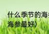 什么季节的海参最好（什么季节产的海参最好）