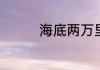 海底两万里内容概括简单