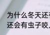 为什么冬天还有咬人的蚊子啊（冬天还会有虫子咬人吗）