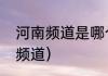 河南频道是哪个台（河南卫视是几号频道）