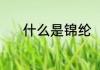 什么是锦纶（锦纶面料是什么）