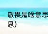 敬畏是啥意思是什么（敬畏是什么意思）