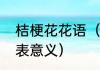 桔梗花花语（桔梗花的花语和象征代表意义）