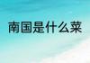 南国是什么菜（虾的味道如何描写）