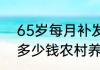 65岁每月补发多少钱 65岁每月补发多少钱农村养老金？