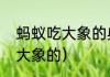 蚂蚁吃大象的典故（蚂蚁是怎么战胜大象的）
