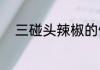 三碰头辣椒的做法（海辣椒做法）