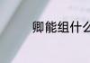 卿能组什么词（卿念什么）