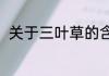 关于三叶草的含义（养三叶草含义）