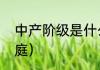 中产阶级是什么（中产家庭是什么家庭）