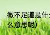 微不足道是什么意思（微不足道是什么意思呢）