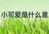 小可爱是什么意思（小可爱什么意思）