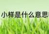 小样是什么意思啊（小样吧什么意思）