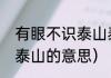 有眼不识泰山泰山之什么（慧眼不识泰山的意思）