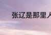 张辽是那里人（张辽是什么马）