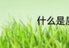 什么是质点?（质点）