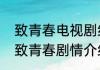 致青春电视剧结局致青春剧情简介（致青春剧情介绍）