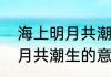 海上明月共潮生的含义（关于海上明月共潮生的意思的简述）