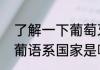 了解一下葡萄牙语的使用范围（关于葡语系国家是哪些国家的简述）
