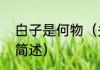 白子是何物（关于白子是什么东西的简述）