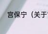 宫保宁（关于宫保宁的简单科普）