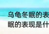 乌龟冬眠的表现是什么（关于乌龟冬眠的表现是什么的简单科普）