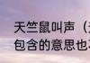 天竺鼠叫声（天竺鼠叫声叫声不同别包含的意思也不同）