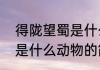 得陇望蜀是什么动物（关于得陇望蜀是什么动物的简单科普）