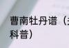 曹南牡丹谱（关于曹南牡丹谱的简单科普）
