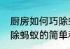 厨房如何巧除蚂蚁（关于厨房如何巧除蚂蚁的简单科普）