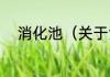 消化池（关于消化池的简单科普）