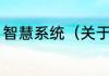 智慧系统（关于智慧系统的简单科普）
