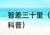 智差三十里（关于智差三十里的简单科普）