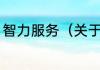 智力服务（关于智力服务的简单科普）