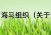 海马组织（关于海马组织的简单科普）