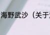 海野武沙（关于海野武沙的简单科普）