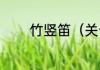 竹竖笛（关于竹竖笛的简述）