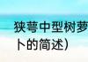 狭萼中型树萝卜（关于狭萼中型树萝卜的简述）