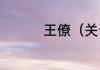 王僚（关于王僚的简述）