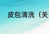皮包清洗（关于皮包清洗的简述）