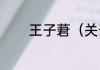 王子莙（关于王子莙的简述）